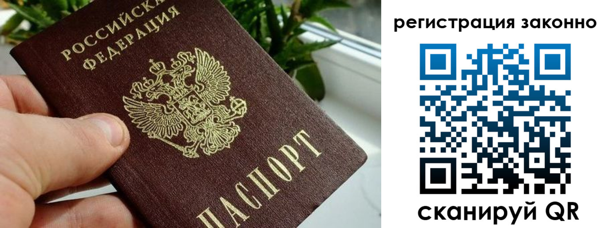 прописка гарантия в Великом Устюге